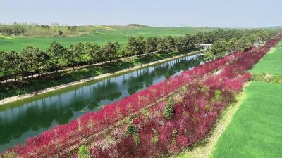 湖北老河口：繁花似锦映丹渠 春意盎然入画来