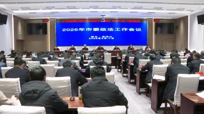 市委政法工作会议召开