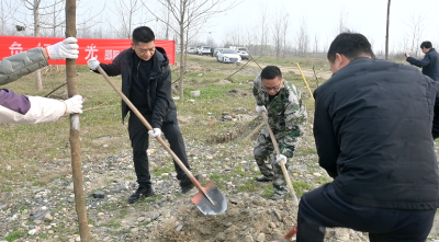 植树添绿正当时 王府洲上春意