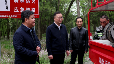 郭章新检查森林防火工作