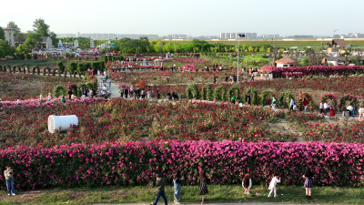 筑牢基础 培育动能 老河口“四项行动”激发乡村振兴新活力