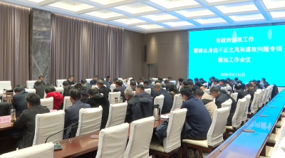 市政府廉政工作暨群众身边不正之风和腐败问题专项整治工作会议召开