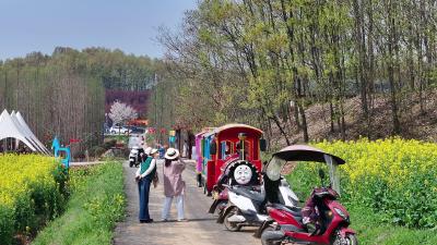 李家染坊村从“素衣生花”到“春色满园” 老河口“四项行动”绘就乡村振兴七彩画卷
