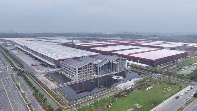 【聚焦2026年新春第一会】优环境尊企业 强龙头兴产业