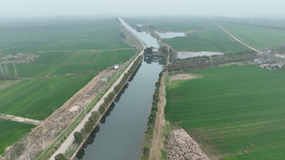 智慧春灌润麦田 数字水利保粮安