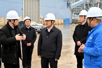 冯玉强到洪山嘴镇调研经济社会发展情况 