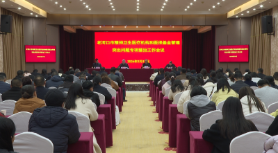 我市召开精神卫生医疗机构和医保基金管理突出问题专项整治工作会议