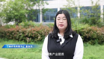【解放思想求突破 科学统筹促发展】竹林桥镇：以思想大讨论赋能发展 以实干硬举措赋能振兴 