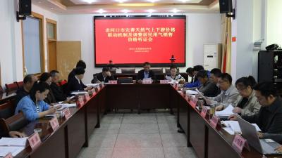 我市召开完善天然气上下游价格联动机制及调整居民用气销售价格听证会 