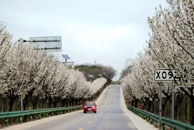 一条“绿丝带” 系起万千“获得感”  ——湖北老河口见缝插“绿”绘就城乡新画卷