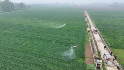 李楼镇：抢抓农时科学田管 力保夏粮丰产丰收