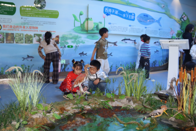 市自然资源和规划局开展“爱鸟周”宣传活动 