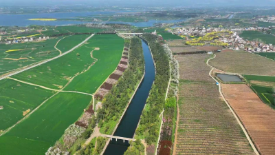 一根“藤”上结出“安心粮”——老河口“长藤结瓜”润泽鄂北粮仓