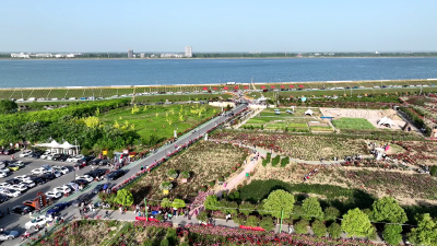 ​“四项行动”强支撑 一路繁花促振兴——老河口“花经济”的美丽密码