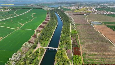 湖北老河口：繁花似锦映丹渠 春意盎然入画来