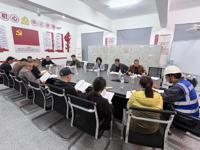 市领导到竹林桥镇参加“人大代表集中活动周”专题活动 