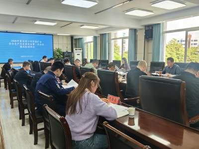 全市非煤矿山安全生产专委会第一次会议暨风险研判会召开