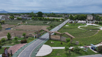 湖北老河口：美丽庭院焕新彩 四项行动促振兴——王府洲以庭院之美激活乡村发展新动能