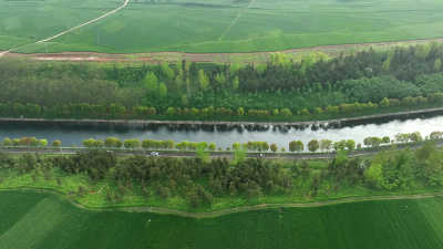 湖北老河口：织“藤”固“瓜”润良田 守牢粮食“压舱石”