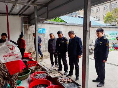 多部门联合开展保护鸟类专项行动