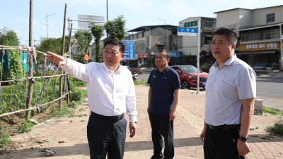 市领导调研城市管理工作
