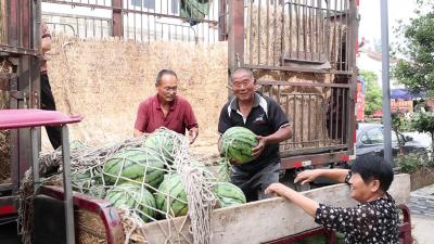 老河口：有机西瓜走出乡村振兴的“甜蜜路”