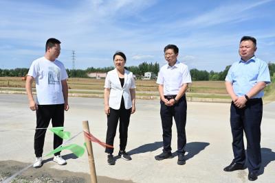 郭方芳冯晓濮调研高标准农田建设工作