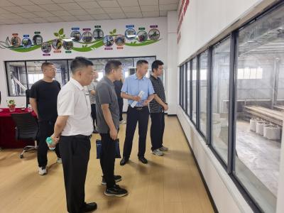 省生态环保督察组赴我市开展现场督察 