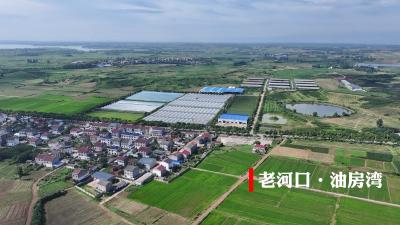 老河口油房湾村党支部：“三变”改革改出共富路
