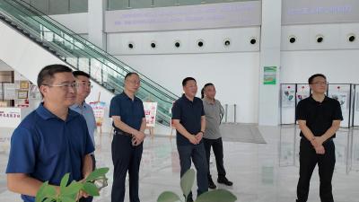 市领导督导城市精神文明建设工作