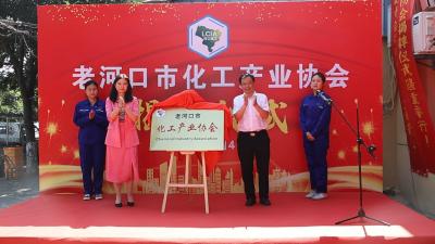 我市化工产业协会正式揭牌成立