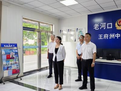 郭方芳到王府洲调研乡村振兴工作