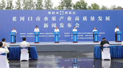 “种苗芯•智慧园•丰收果”——老河口市水果产业高质量发展新闻发布会召开