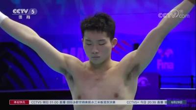 王宗源世锦赛跳水三米板夺冠