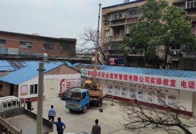 襄阳市审计局：清理枯树解除安全隐患，获百姓点赞