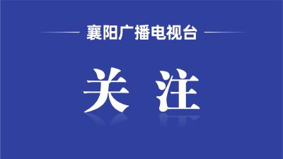 谷城召开第九次招商引资项目评审会