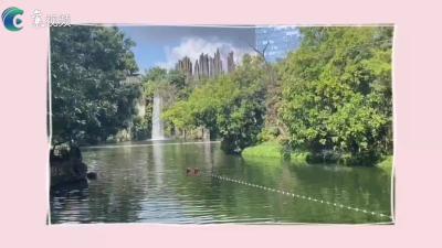 快乐的假期|熊冠宁：世界那么大 我想去看看