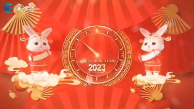 快乐的假期 | 手工兔送上新年祝福