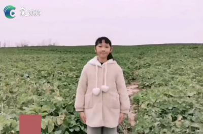 快乐的假期│我为襄阳美景打CALL