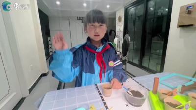 快乐的假期|我也来种菜