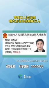 枣阳市人民法院  曝光五名失信被执行人 