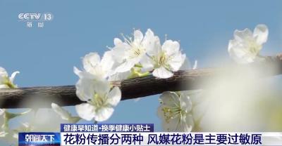 春季花粉过敏元凶是什么？如何度过？专家解答→
