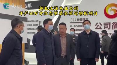 南漳：锚定项目强产业 全力打造全省“强县工程”标杆县