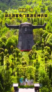 湖北游客免门票游览神农架
