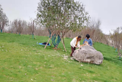 南漳： 共建共享绿地公园 共同缔造美丽家园