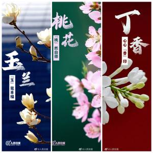 一组春花壁纸，愿你一路生花