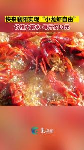 赏味正当时，每斤仅10元！快来襄阳实现“小龙虾自由”赏味正当时，每斤仅10元！快来襄阳实现“小龙虾自由”