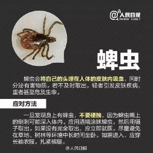 警惕！又到活跃期，严重或致死