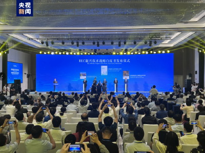 我国牵头编制的零碳电力系统等三本国际标准化白皮书正式发布