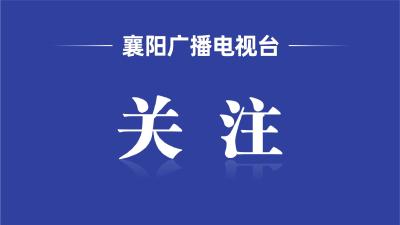 世界科技与产业格局加速重构，湖北光电子信息产业如何再突围—— 一束光的全球“进化论”